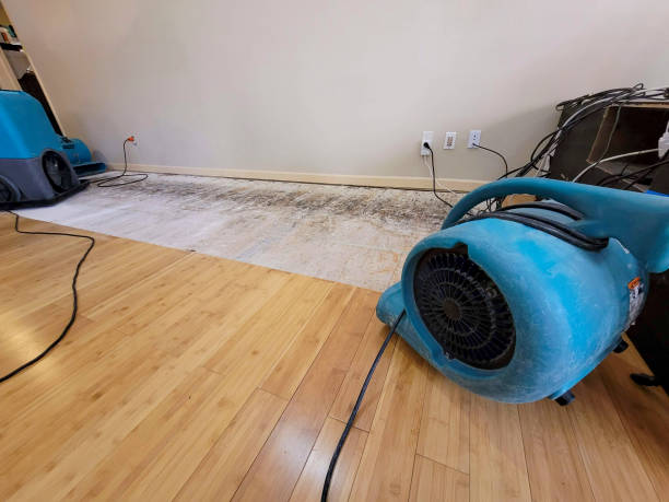 Professional Sewage Cleanup technician working in Jeffersonville, OH
